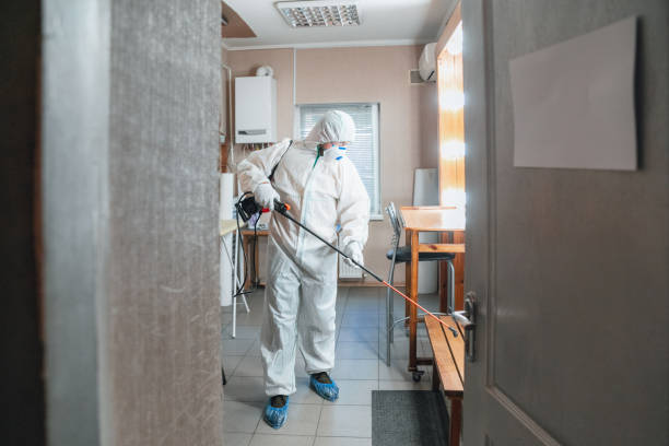 Best Industrial Mold Remediation  in Northampton, MA